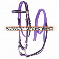 Horse nylon bridle