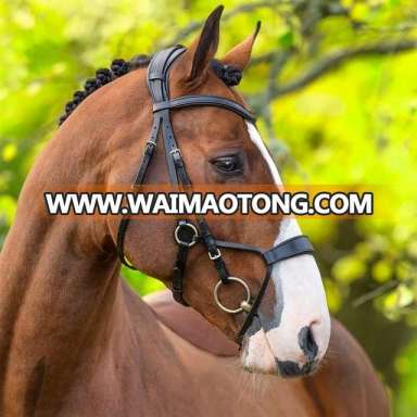 Leather horse bridle Multi bridle